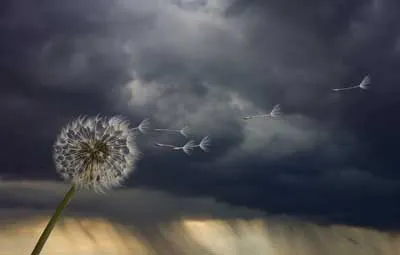 The Power of Grassroots: Building a Liberty-Minded Future from the Ground Up – It’s up to us…By: The Spearfish Speakeasy